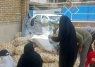 توزیع پیاز رایگان در قم