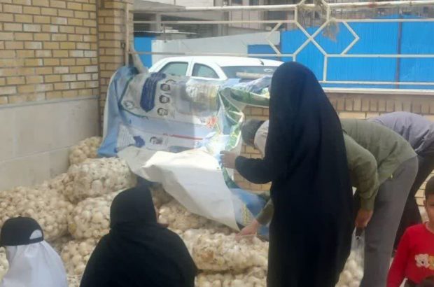 توزیع پیاز رایگان در قم